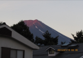 夜は最高