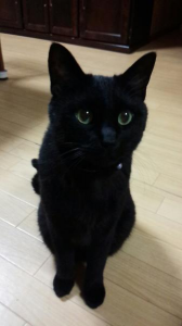 じゃじゃ君６歳！ 画像1