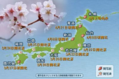 桜開花予想 画像1