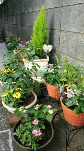 箱根♪ 画像2