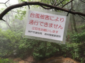 六甲山トレイル。 画像1