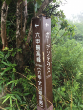 六甲山トレイル。 画像2