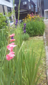 花が咲いた 画像3