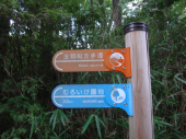 RWS-ミドルトレイル部 Vol6 生駒山系 TRAIL＋周回＋TRAIL25～30k 画像2