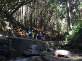 RWS-ミドルトレイル部 Vol6 生駒山系 TRAIL＋周回＋TRAIL25～30k 画像3