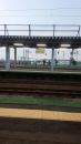きゅ、急に空港に？