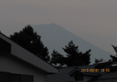 今日も猛暑 画像2