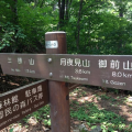 三頭山　森林浴♪