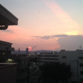 三頭山　森林浴♪