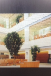 『大総合病院！？』 画像3