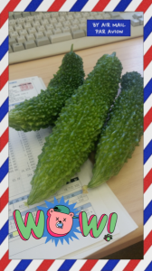 ☆ゴーヤーマン・・いずこに？？ 画像1