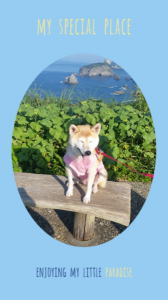 ☆お腹すいた！ 画像2