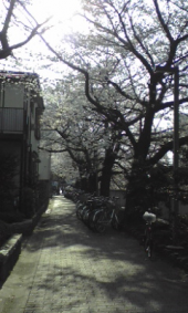 【摂食】理解無い…（運動記録追記） 画像2