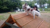 ☆初めての☆ 画像1