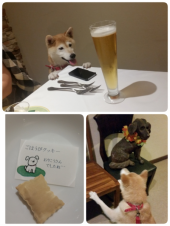 ☆今日帰ります♪ヽ(￣▽￣)ノ 画像1