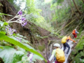 4名パーティで沢登り 画像2