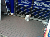 okko150817 画像3