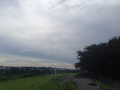 蒸します♪
