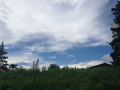 蒸します♪