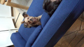 ソファ届きました 画像2