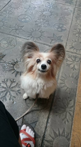 ☆放置していました(;'∀')☆ 画像3