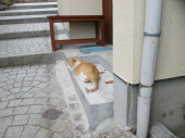 no title 画像3