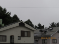 不調でした