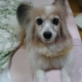 ☆大忙しのしずかちゃん☆