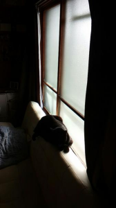 暖かいところ 画像2