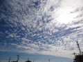 家のまわり31分約3100歩1.9ｋｍ