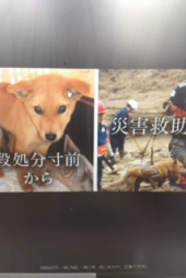 『ルール違反！？』 画像3