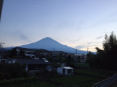 またでたクモ 画像1