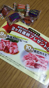 ドコモ★光 画像2