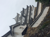 出雲大社と厳島神社 画像1