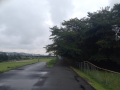 色づいてきました♪