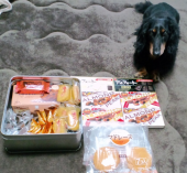 ずっと　継続中でした。 画像1