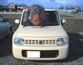 車検準備 画像1