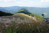 岩湧山の花すすき 画像3