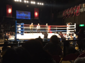 ミット検定からの試合観戦で運動微量のみ 画像3