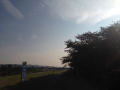 100坪　980円♪