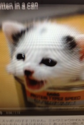 『キュン死して下さい～（笑）』 画像1