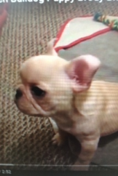 『キュン死して下さい～（笑）』 画像2