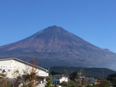 早起きしたよ＋歩いてきたよ 画像2