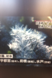 『初霜！』 画像1