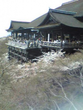 清水寺へお出かけ 画像1