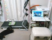 犬の日でしたか 画像1