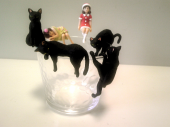 11月予定 画像1
