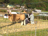 フルートレッスンの帰りに。。 画像2