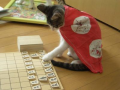 体重が増えた～(゜。)シクシク..