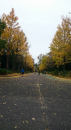 ☆久々公園ＲＵＮ☆
